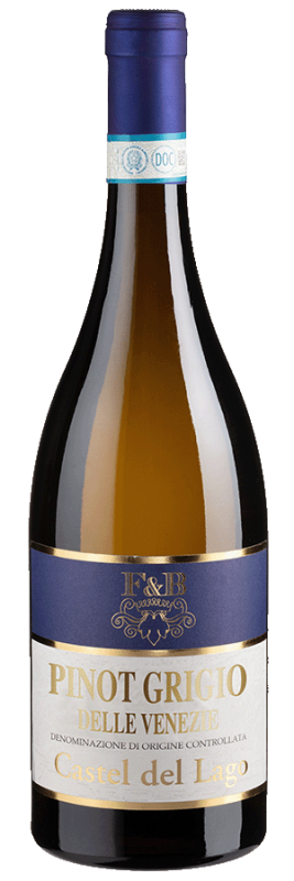 Image of Pinot Grigio Castel del Lago (2023) - Riolite Vini - Weißwein aus Italien