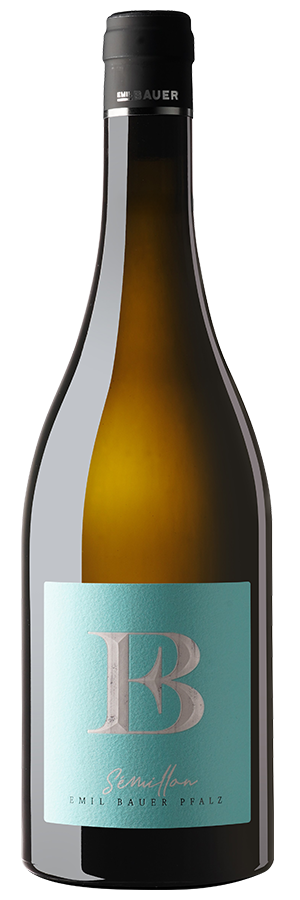 Semillon Nussdorf 2024